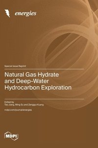 bokomslag Natural Gas Hydrate and Deep-Water Hydrocarbon Exploration