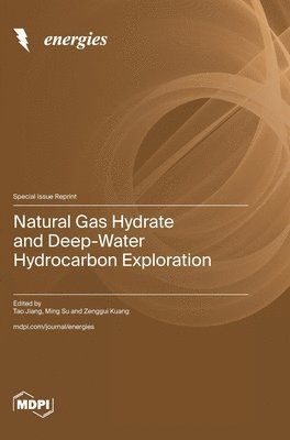 bokomslag Natural Gas Hydrate and Deep-Water Hydrocarbon Exploration