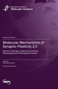 bokomslag Molecular Mechanisms of Synaptic Plasticity 2.0