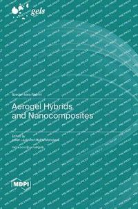 bokomslag Aerogel Hybrids and Nanocomposites