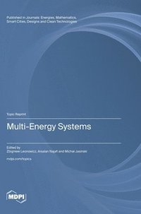 bokomslag Multi-Energy Systems