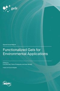 bokomslag Functionalized Gels for Environmental Applications