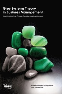 bokomslag Grey Systems Theory in Business Management