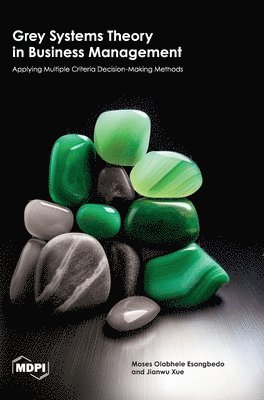 bokomslag Grey Systems Theory in Business Management