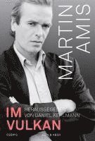 Martin Amis, Daniel Kehlmann - Im Vulkan, Inbunden
