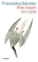 bokomslag Wie Inseln im Licht