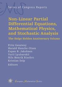 bokomslag Non-Linear Partial Differential Equations, Mathematical Physics, and Stochastic Analysis