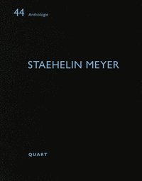 bokomslag Staehelin Meyer