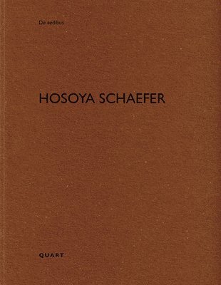 Hosoya Schaefer 1