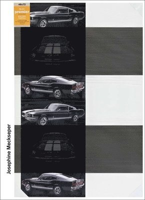 Rachel Hooper, Gail Kirkpatrick, Heike Munder - Josephine Meckseper, Inbunden