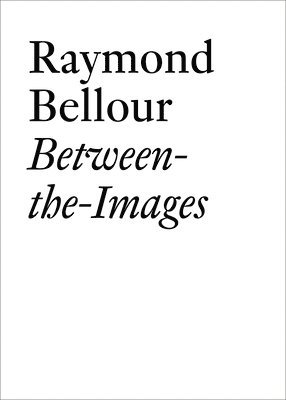 bokomslag Raymond Bellour