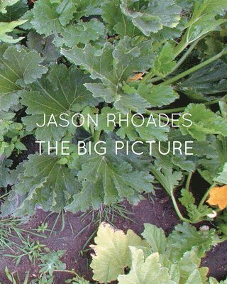 Paul McCarthy, Eva Meyer-Hermann, Ralph Rugoff - Jason Rhoades: The Big Picture, Inbunden. Tillgänglighet: Tillfälligt slut