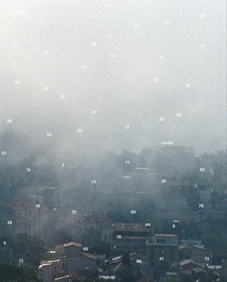 Jérôme Leuba: Battlefield