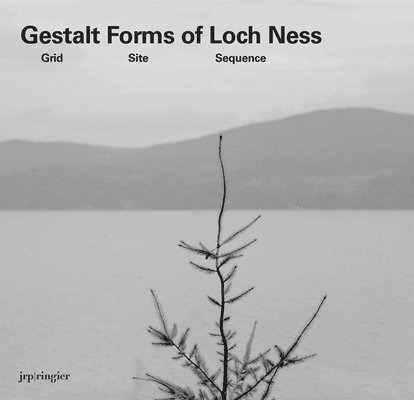 Dillon Brian, Anthony Spira, Andrea Viliani, Anthony Spira - Gerard Byrne: Gestalt Forms of Loch Ness, Inbunden