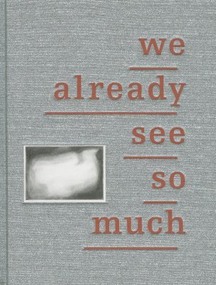 Euan MacDonald, Robert Walser, Willem Lucas - Euan Macdonald: We Already See So Much, Inbunden