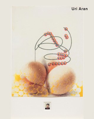 Liam Gillick, Fionn Meade, Beatrix Ruf, Margot Heller - Uri Aran, Inbunden