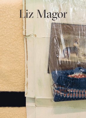 Liz Magor, Dan Adler, Lesley Johnstone, Heike Munder, Bettina Steinbrugge - Liz Magor, Inbunden