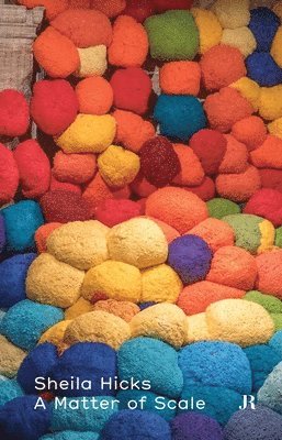 bokomslag Sheila Hicks