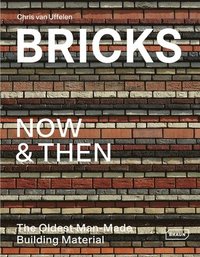 bokomslag Bricks Now & Then