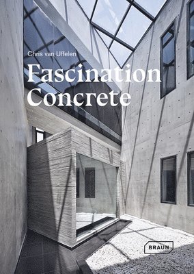 Fascination Concrete 1