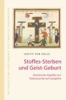 bokomslag Stoffes-Sterben und Geist-Geburt