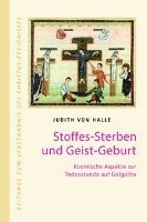 Stoffes-Sterben und Geist-Geburt 1