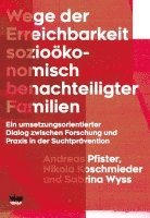 bokomslag Wege der Erreichbarkeit sozioökonomisch benachteiligter Familien