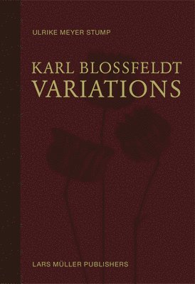 Karl Blossfeldt: Variations 1