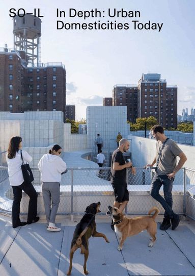 Florian Idenburg, Jing Liu - In Depth: Urban Domesticities Today So-Il, Häftad