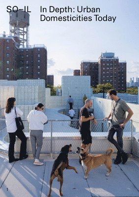 Florian Idenburg, Jing Liu, So-Il - In Depth: Urban Domesticities Today So-Il, Häftad