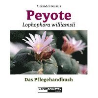 Peyote - Lophophora williamsii 1