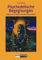 bokomslag Psychedelische Begegnungen