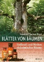 Blätter von Bäumen 1