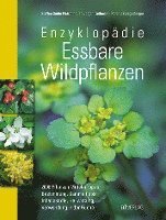 bokomslag Enzyklopädie Essbare Wildpflanzen