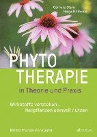 bokomslag Phytotherapie in Theorie und Praxis