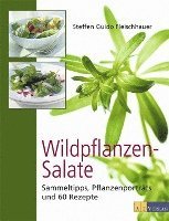 bokomslag Wildpflanzen-Salate