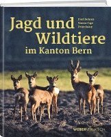 bokomslag Jagd und Wildtiere im Kanton Bern