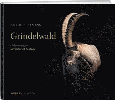 Grindelwald 1