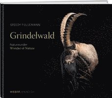 Speedy Füllemann - Grindelwald, Inbunden