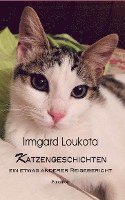 bokomslag Katzengeschichten - ein etwas anderer Reisebericht