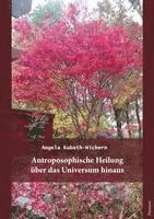 bokomslag Anthroposophische Heilung über das Universum hinaus