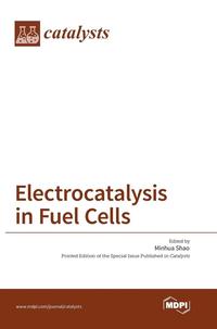bokomslag Electrocatalysis in Fuel Cells