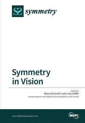 Symmetry in Vision 1