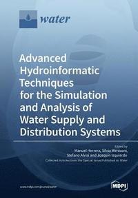 bokomslag Advanced Hydroinformatic Techniques for the Simulation and Analysis of Water Supply and Distribution Systems