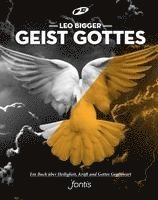 bokomslag Geist Gottes