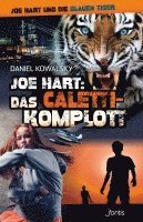 bokomslag Joe Hart 06: Das Caletti-Komplott