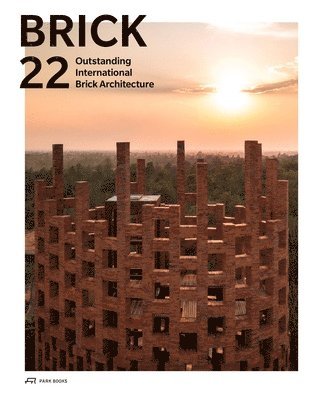 Brick 22 1