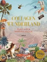 bokomslag Collagen Wunderland