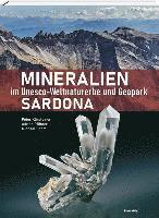 bokomslag Mineralien im Unesco-Weltnaturerbe und Geopark Sardona