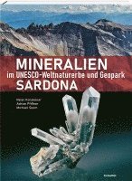 bokomslag Mineralien im Unesco-Weltnaturerbe und Geopark Sardona